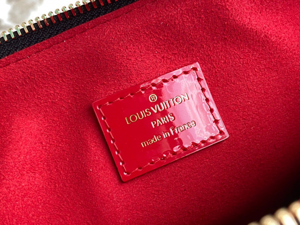 l0*is V*t0n coussin mm